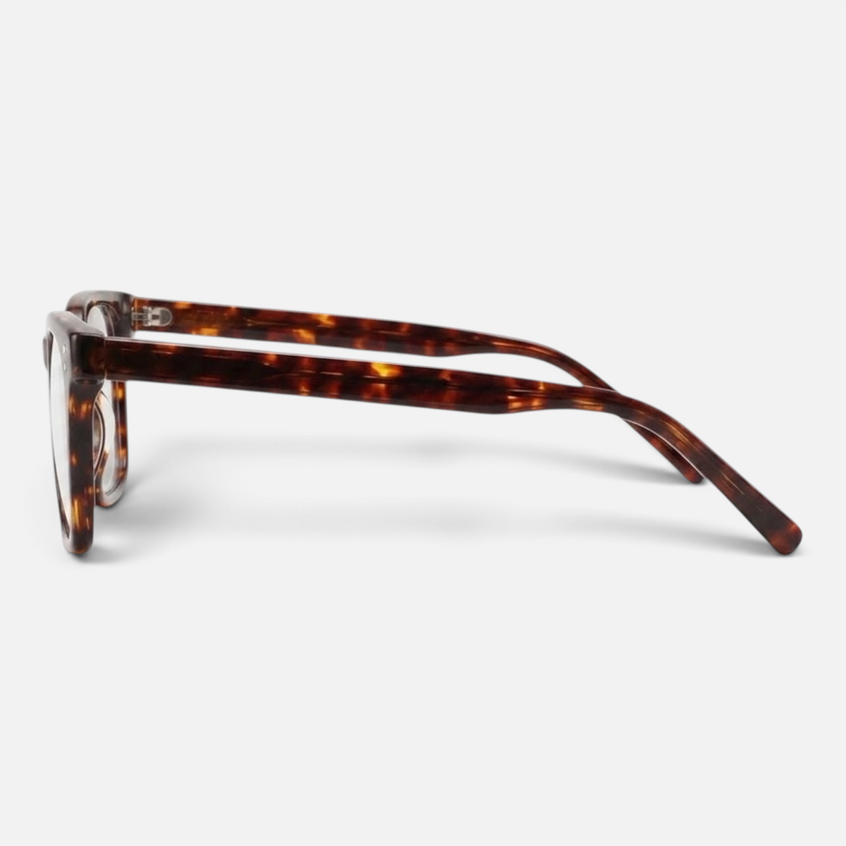 Ashford Leopard