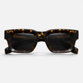 Ash Tortoises Polarized