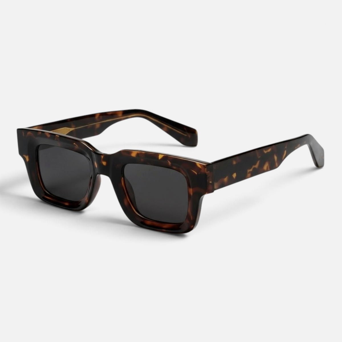 Ash Tortoises Polarized