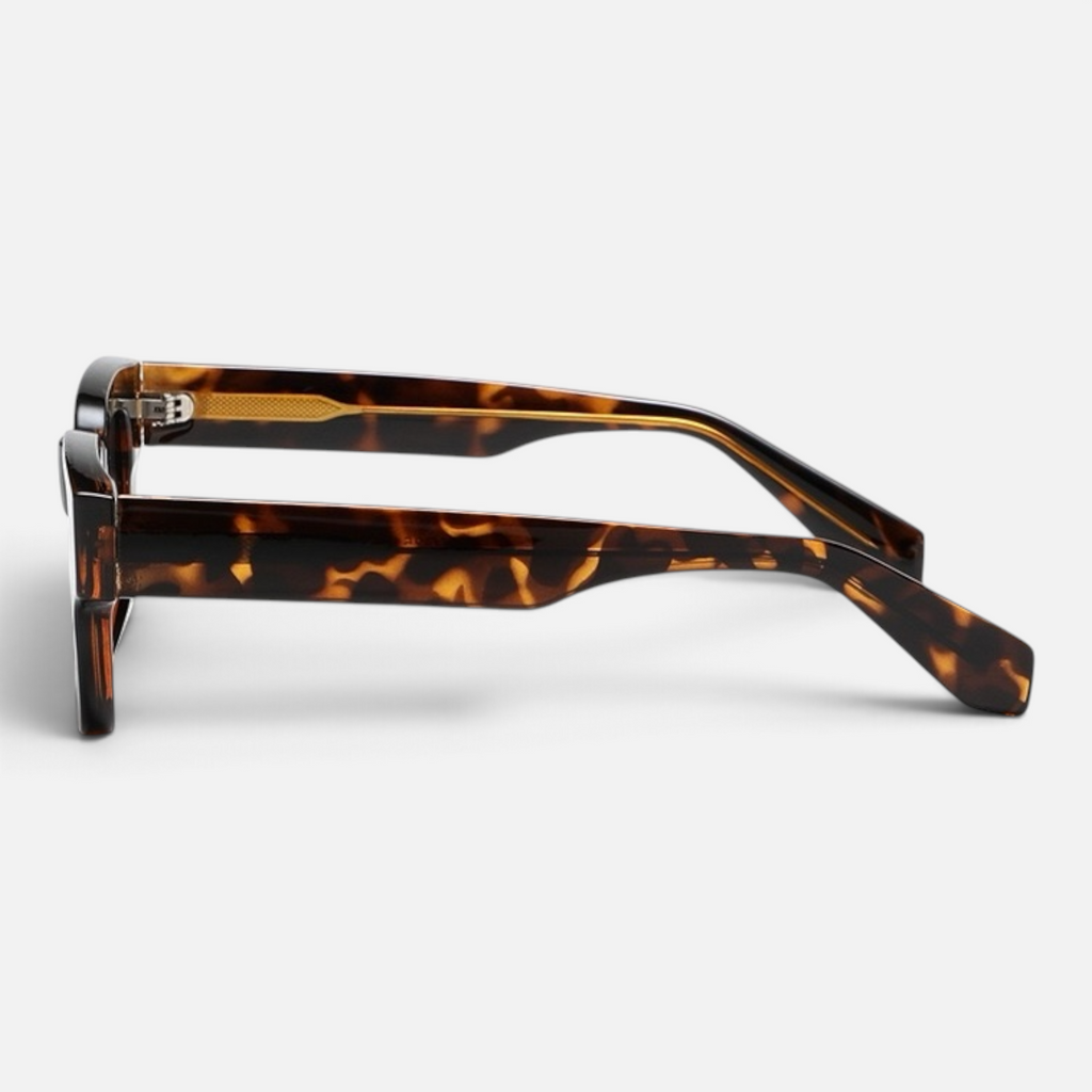 Ash Tortoises Polarized
